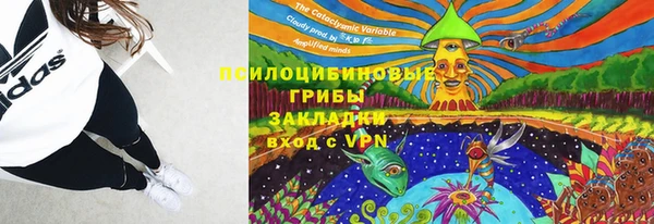 мяу мяу мука Баксан