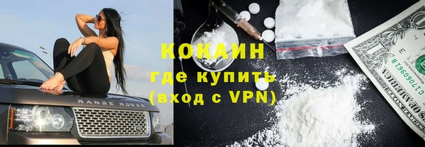 мяу мяу мука Баксан