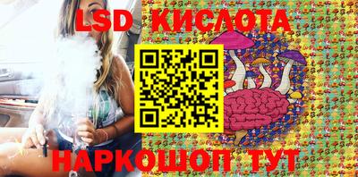 шишки Коммунар