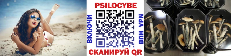 Галлюциногенные грибы MAGIC MUSHROOMS  цена наркотик  Кушва 